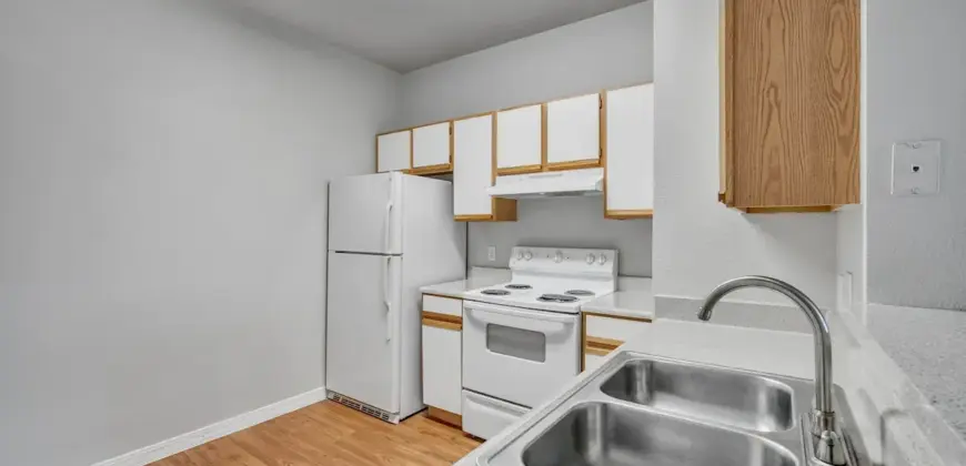 Waters At Bluff Springs