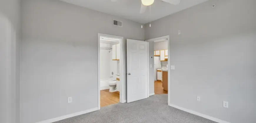 Waters At Bluff Springs