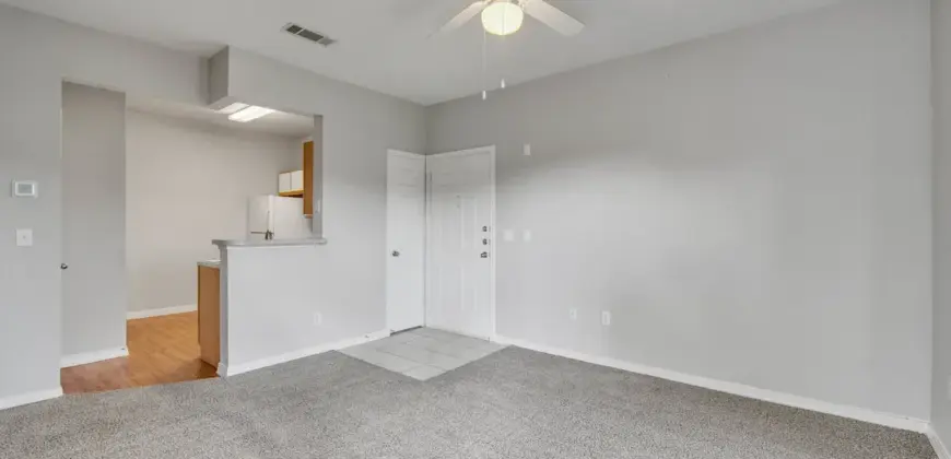 Waters At Bluff Springs