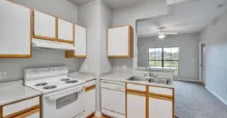 Waters At Bluff Springs