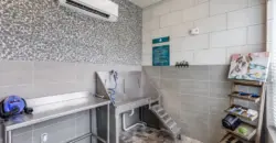 Williamson At The Overlook