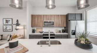 Wingspan At Bridgeland
