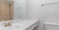 Woods Of Spring Grove