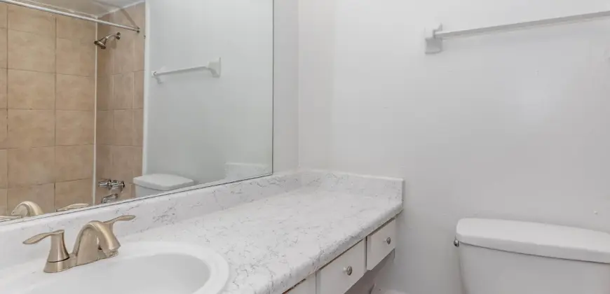 Woods Of Spring Grove