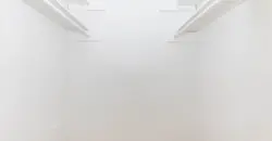 Woods Of Spring Grove