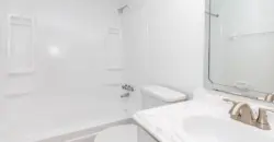 Woods Of Spring Grove