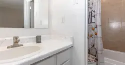 Woods Of Spring Grove