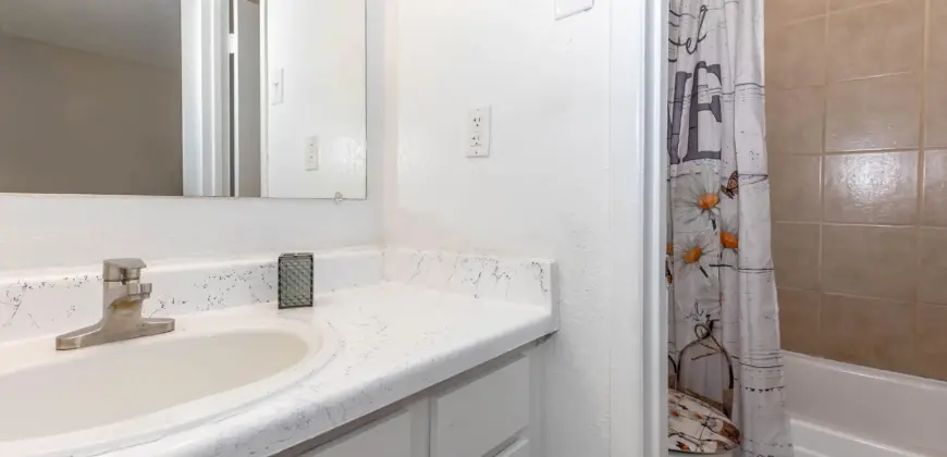 Woods Of Spring Grove