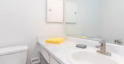 Woods Of Spring Grove