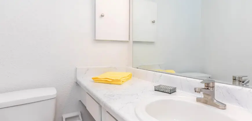 Woods Of Spring Grove