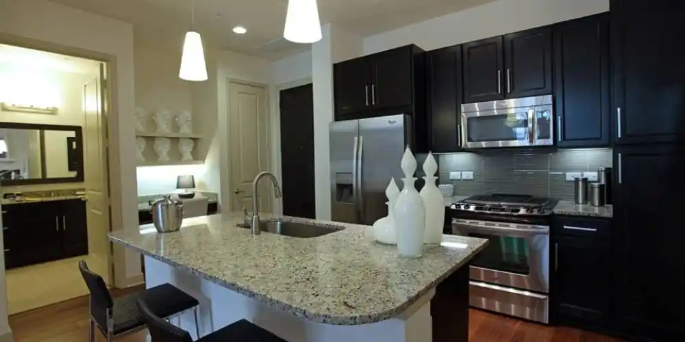 Rental by Apartment Wolf | WaterWall Place | 2801 WaterWall Dr, Houston, TX 77056 | apartmentwolf.com