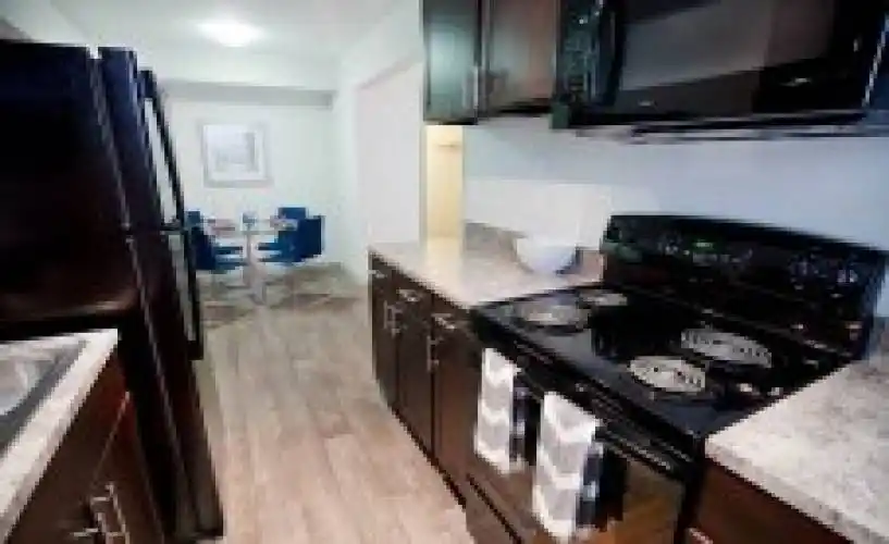 Rental by Apartment Wolf | Calloway at Las Colinas | 7300 Parkridge Blvd, Irving, TX 75063 | apartmentwolf.com