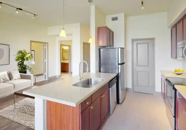 Rental by Apartment Wolf | 2222 Smith Street | 2222 Smith St, Houston, TX 77002 | apartmentwolf.com