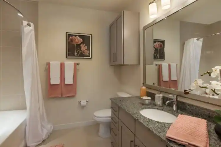 Rental by Apartment Wolf | The Susanne | 3833 Dunlavy St, Houston, TX 77006 | apartmentwolf.com