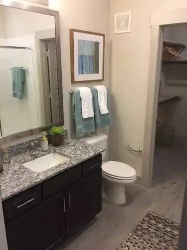 Rental by Apartment Wolf | Everly Apartments | 2827 Dunvale Rd, Houston, TX 77063 | apartmentwolf.com