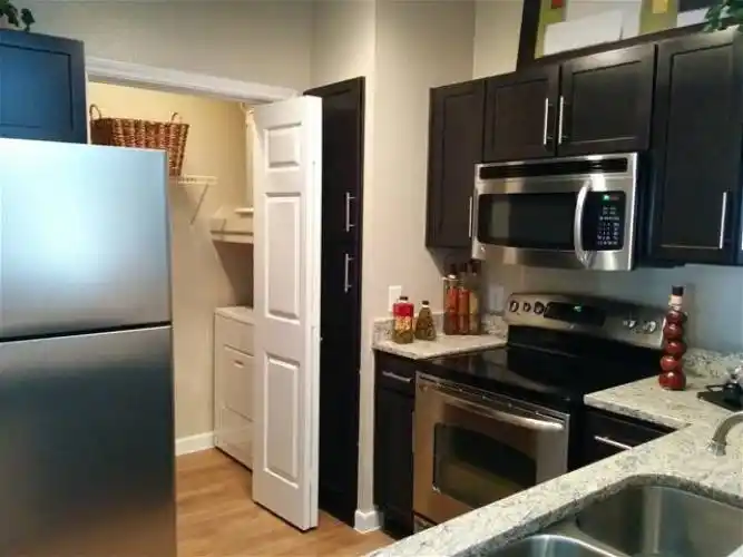 Rental by Apartment Wolf | The Gael | 4000 Essex Ln, Houston, TX 77027 | apartmentwolf.com