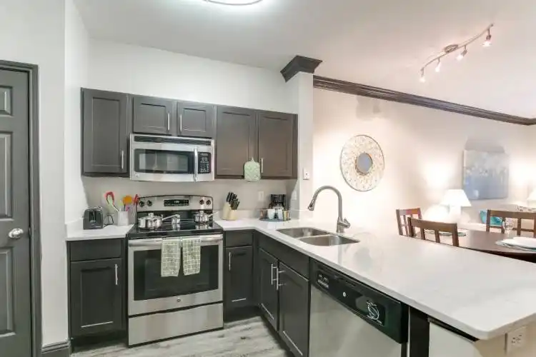 Rental by Apartment Wolf | The Viv | 2210 W Dallas St, Houston, TX 77019 | apartmentwolf.com