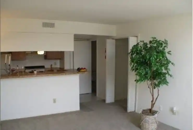 Rental by Apartment Wolf | Summervale Apartments | 9221 Pagewood Ln, Houston, TX 77063 | apartmentwolf.com