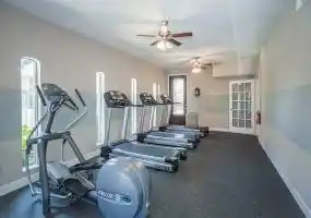 Rental by Apartment Wolf | The Alora | 5500 El Camino Del Rey St, Houston, TX 77081 | apartmentwolf.com