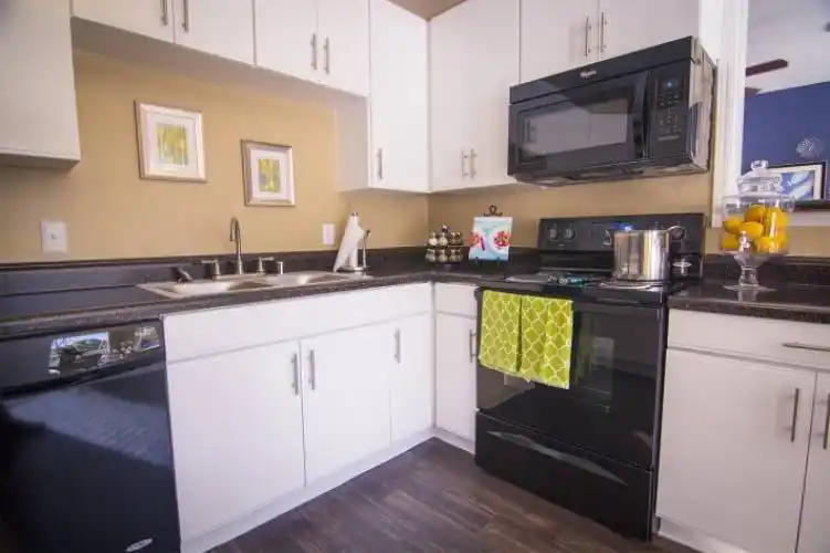 Rental by Apartment Wolf | Metro 5514 Cityside | 5514 Griggs Rd, Houston, TX 77021 | apartmentwolf.com