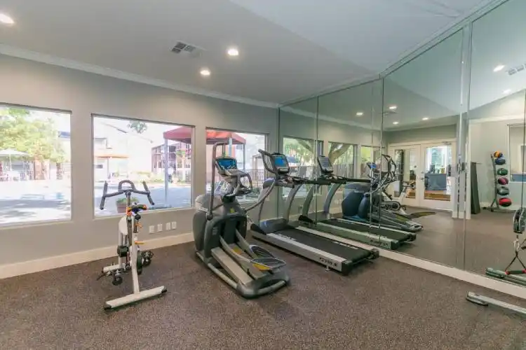 Rental by Apartment Wolf | The Daphne | 1800 El Paseo St, Houston, TX 77054 | apartmentwolf.com