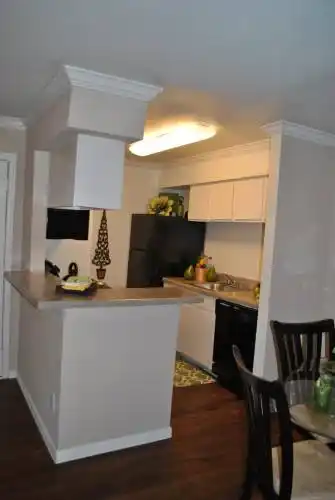 Rental by Apartment Wolf | The Daphne | 1800 El Paseo St, Houston, TX 77054 | apartmentwolf.com