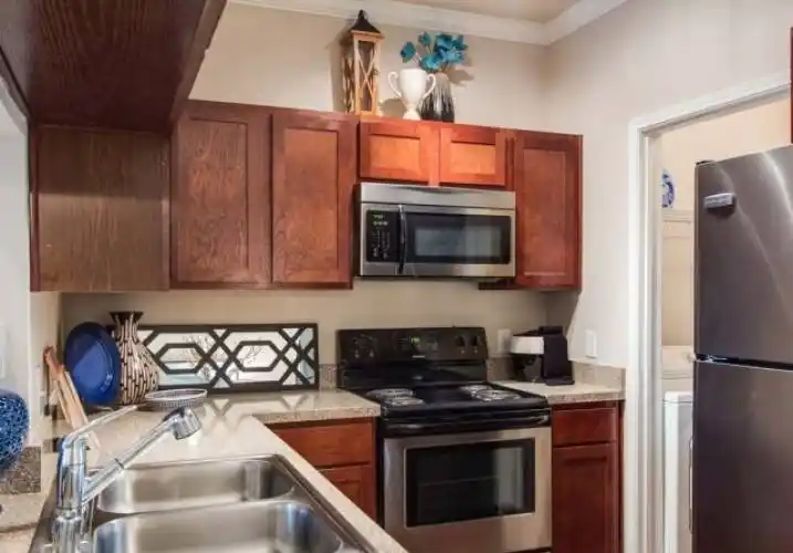 Rental by Apartment Wolf | Sonsrena | 9425 Rolater Rd, Frisco, TX 75035 | apartmentwolf.com