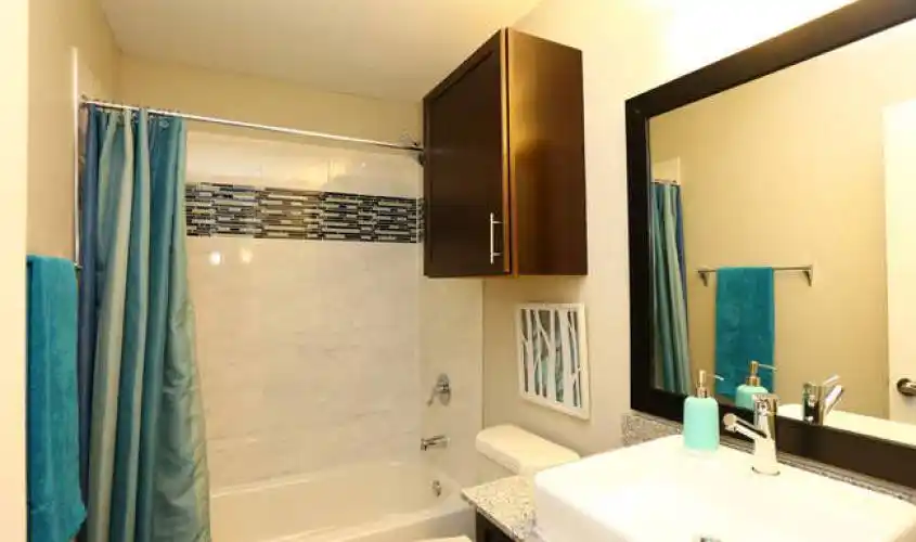 Rental by Apartment Wolf | Curve at River Road Apartments | 705 River Rd, San Marcos, TX 78666 | apartmentwolf.com