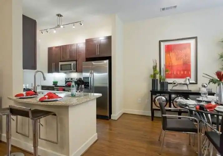 Rental by Apartment Wolf | Domain at City Centre | 811 TOWN AND COUNTRY Blvd, Houston, TX 77024 | apartmentwolf.com