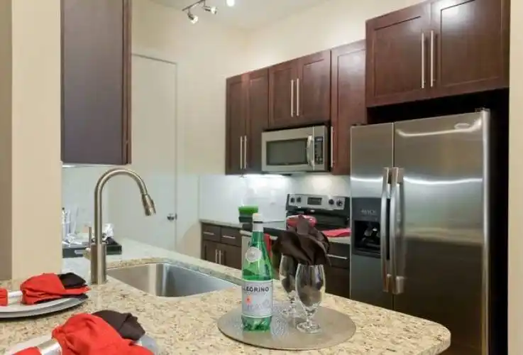 Rental by Apartment Wolf | Domain at City Centre | 811 TOWN AND COUNTRY Blvd, Houston, TX 77024 | apartmentwolf.com