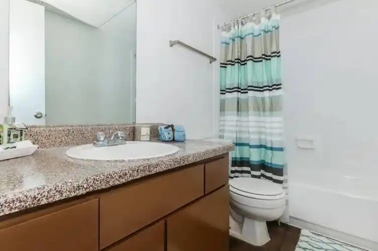 Rental by Apartment Wolf | Gia at Spring Branch | 1521 Sherwood Forest St, Houston, TX 77043 | apartmentwolf.com