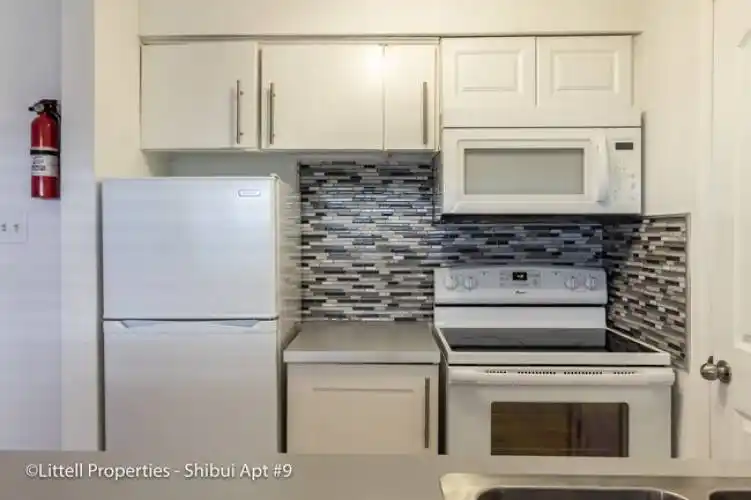 Rental by Apartment Wolf | Shibui Apartments | 714 Woodrow St | apartmentwolf.com