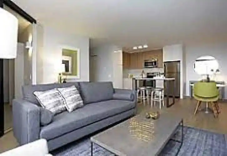 Rental by Apartment Wolf | Aster | 3611 Congress St | apartmentwolf.com