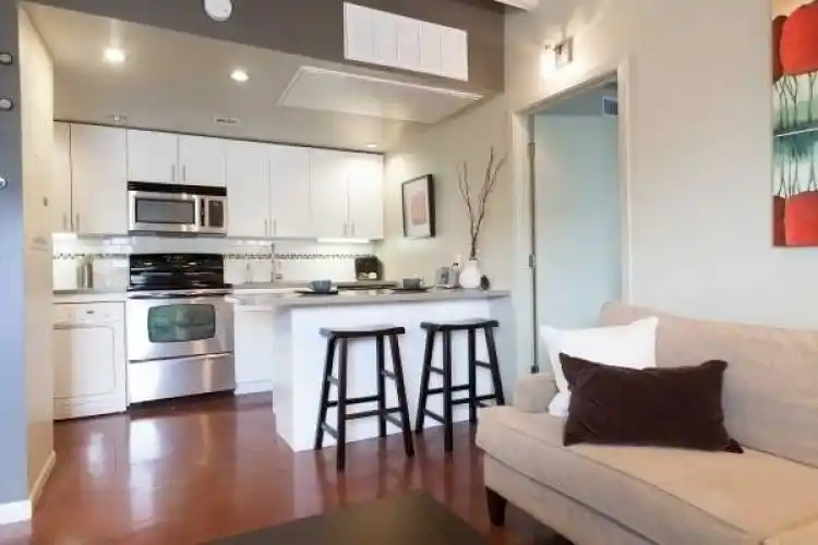 Rental by Apartment Wolf | Leon Street | Leon St, Austin, TX 78705 | apartmentwolf.com