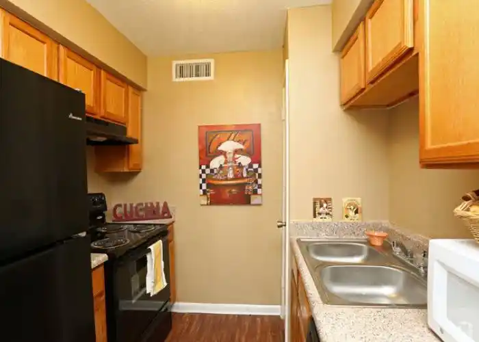 Rental by Apartment Wolf | Flora Condos and Lofts | 1617 Enid St Houston | apartmentwolf.com