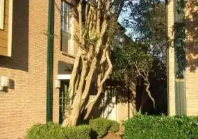 Rental by Apartment Wolf | Forest Oaks Apartments | 3600 W T C Jester Blvd, Houston, TX 77018 | apartmentwolf.com