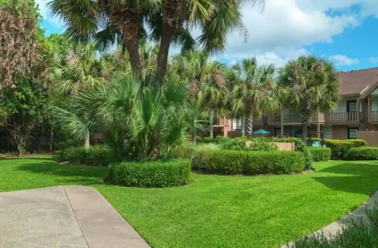 Rental by Apartment Wolf | Fox Hall Apartments | 8222 Kingsbrook Rd, Houston, TX 77024 | apartmentwolf.com