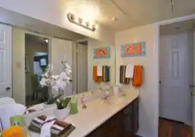 Rental by Apartment Wolf | 5401 Chimney Rock | 5401 Chimney Rock Rd, Houston, TX 77081 | apartmentwolf.com