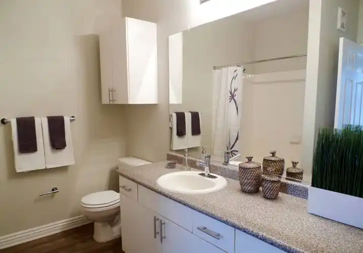 Rental by Apartment Wolf | The Pavilions | 9000 Vantage Point Dr, Dallas, TX 75243 | apartmentwolf.com