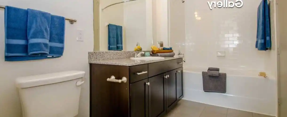 Rental by Apartment Wolf | The Standard at CityLine | 1125 E Renner Rd, Richardson, TX 75082 | apartmentwolf.com