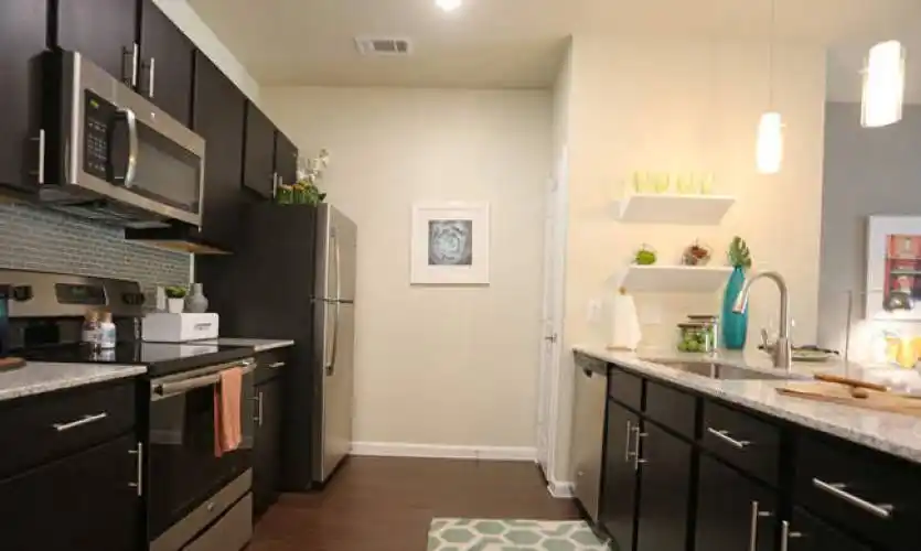 Rental by Apartment Wolf | Agora Stone Oak | 1207 Agora Palms Dr, San Antonio, TX 78258 | apartmentwolf.com