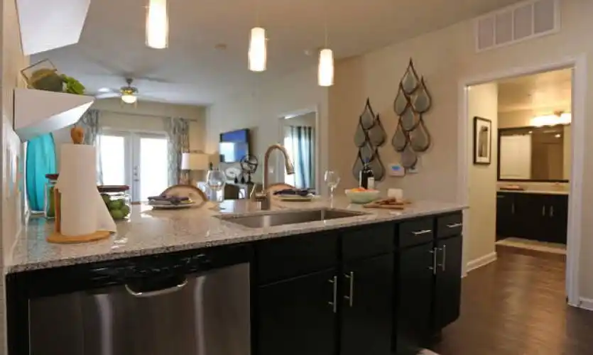 Rental by Apartment Wolf | Agora Stone Oak | 1207 Agora Palms Dr, San Antonio, TX 78258 | apartmentwolf.com