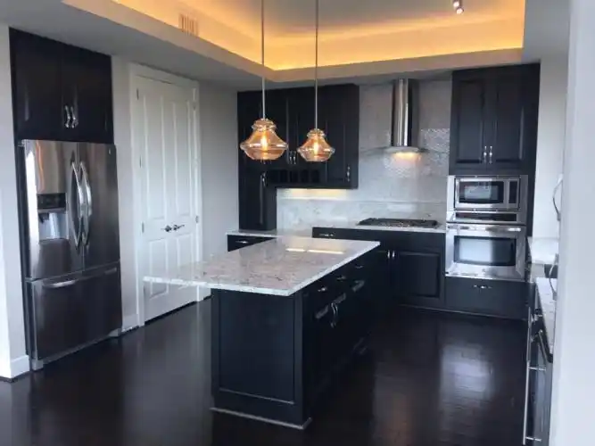 Rental by Apartment Wolf | The Carter | 4 Chelsea Blvd, Houston, TX 77006 | apartmentwolf.com