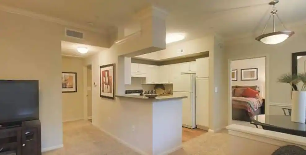 Rental by Apartment Wolf | Colonnade | 9898 Colonnade Blvd, San Antonio, TX 78230 | apartmentwolf.com