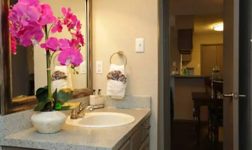 Rental by Apartment Wolf | Ladera Ranch Apartments | 3303 Esters Rd, Irving, TX 75062 | apartmentwolf.com