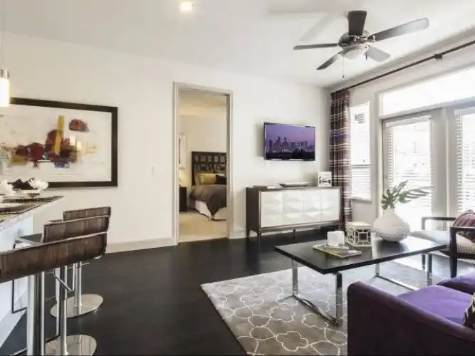 Rental by Apartment Wolf | Muse at Museum District | 1301 Richmond Ave, Houston, TX 77006 | apartmentwolf.com