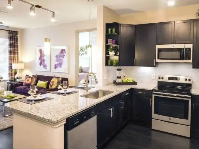 Rental by Apartment Wolf | Muse at Museum District | 1301 Richmond Ave, Houston, TX 77006 | apartmentwolf.com