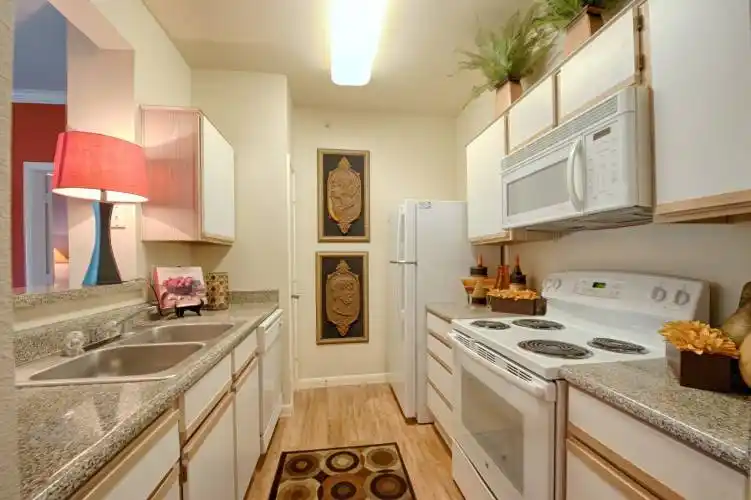 Rental by Apartment Wolf | Stella at The Medical Center | 7009 Almeda Rd, Houston, TX 77054 | apartmentwolf.com