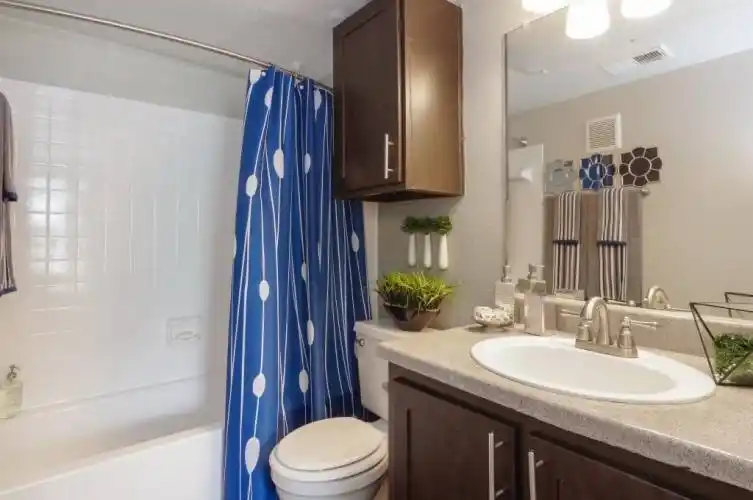 Rental by Apartment Wolf | The Landings At Steeplechase | 11150 Steeplepark Dr, Houston, TX 77065 | apartmentwolf.com