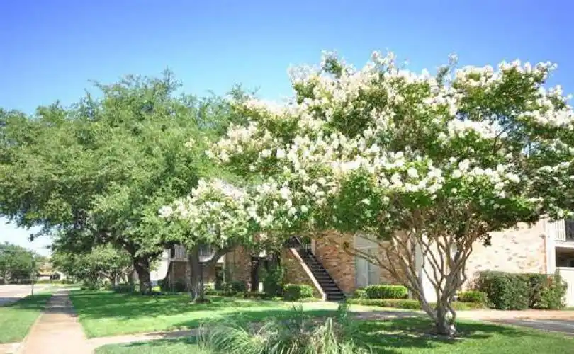 Rental by Apartment Wolf | Belle Grove | 800 Custer Rd, Richardson, TX 75080 | apartmentwolf.com